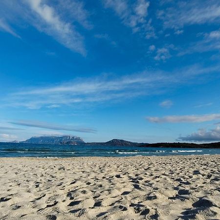 Casa Vacanze Lo Squalo Olbia Bagian luar foto